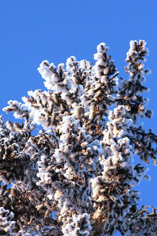 Kouluikäisten Talvileiri 16.-17.3.2019 Hirsikankaalla Kouluikäisten Talvileiri 16.-17.3.2019 Hirsikankaalla